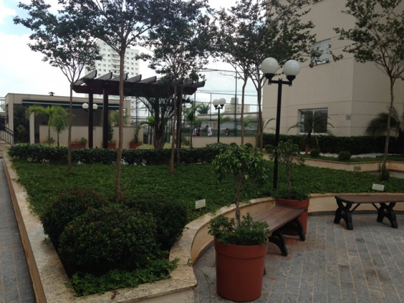 imóvel com 67m² - Vl. Maria - São Paulo