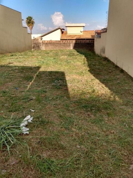 Terreno à venda Vila Monte Alegre com 445m² e 1 quarto por R$ 350.000 - 1228524352-img-0927.jpg
