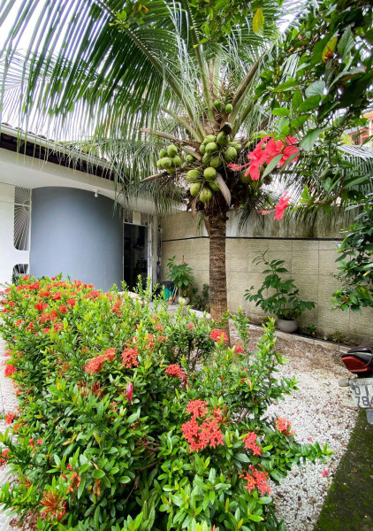 Casa à venda Benfica com 360m² e 3 quartos por R$ 1.200.000 - 652773478-photo-2023-10-20-02-06-38-20.jpg