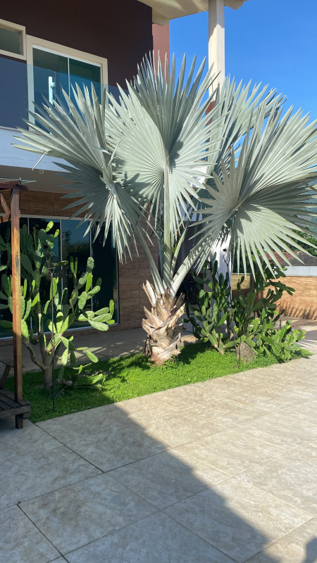 Casa de condomínio à venda Anil com 750m² e 6 quartos por R$ 1.890.000 - 343257099-img-7016.jpeg