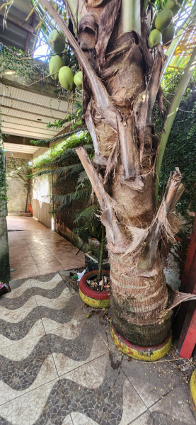 Casa à venda Castanheira com 54m² e 1 quarto por R$ 300.000 - 2038012658-img-20230816-wa0236.jpg