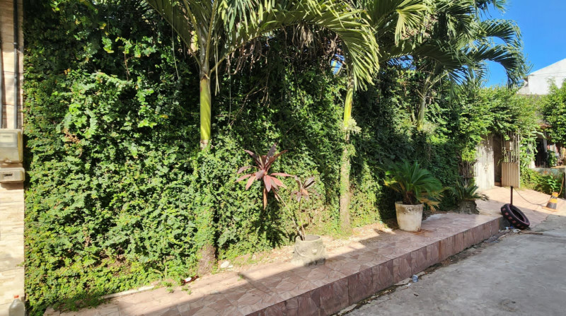 Casa à venda Castanheira com 54m² e 1 quarto por R$ 300.000 - 441968707-img-20230816-wa0263.jpg