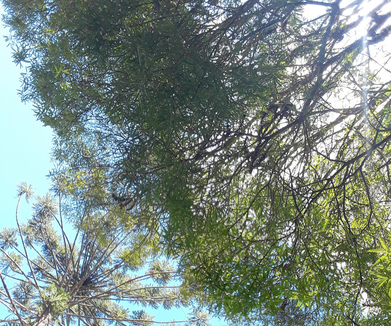 Terreno à venda centro com 1m² e 1 quarto por R$ 100.000 - 796831903-20220506-012123.jpg