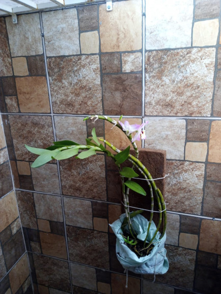 Apartamento à venda Centro com 45m² e 1 quarto por R$ 120.000 - 1170078795-whatsapp-image-2022-12-30-at-16.jpeg