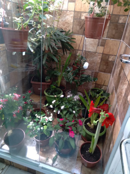 Apartamento à venda Centro com 45m² e 1 quarto por R$ 120.000 - 148146257-whatsapp-image-2022-12-30-at-16.jpeg