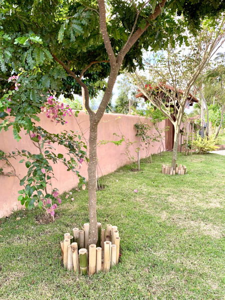 Casa à venda Bambuí com 518m² e 3 quartos por R$ 800.000 - 774064647-img-7130.jpeg