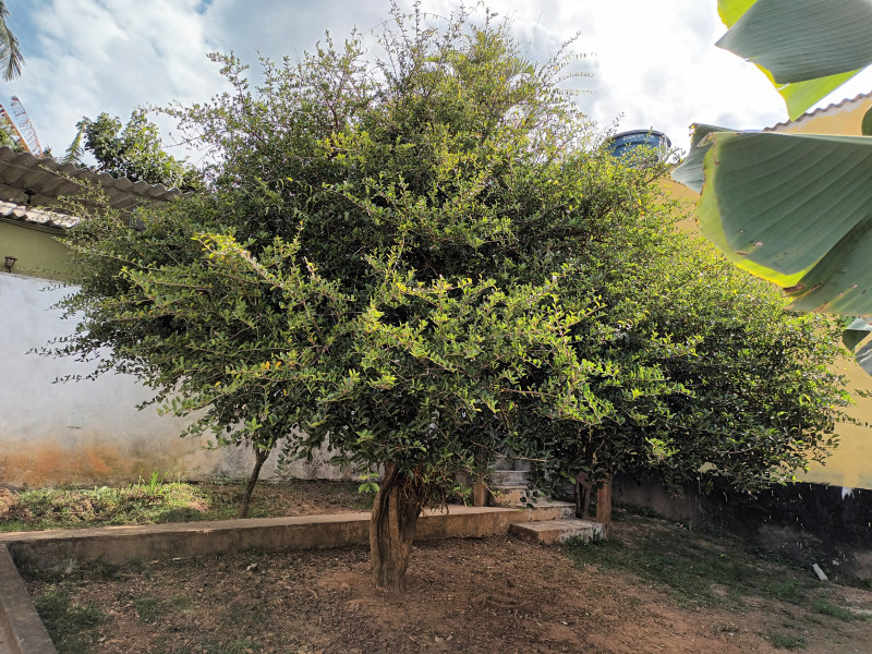 Casa à venda Jardim Barbacena com 357m² e 2 quartos por R$ 600.000 - 423876294-20230819-143209.jpg