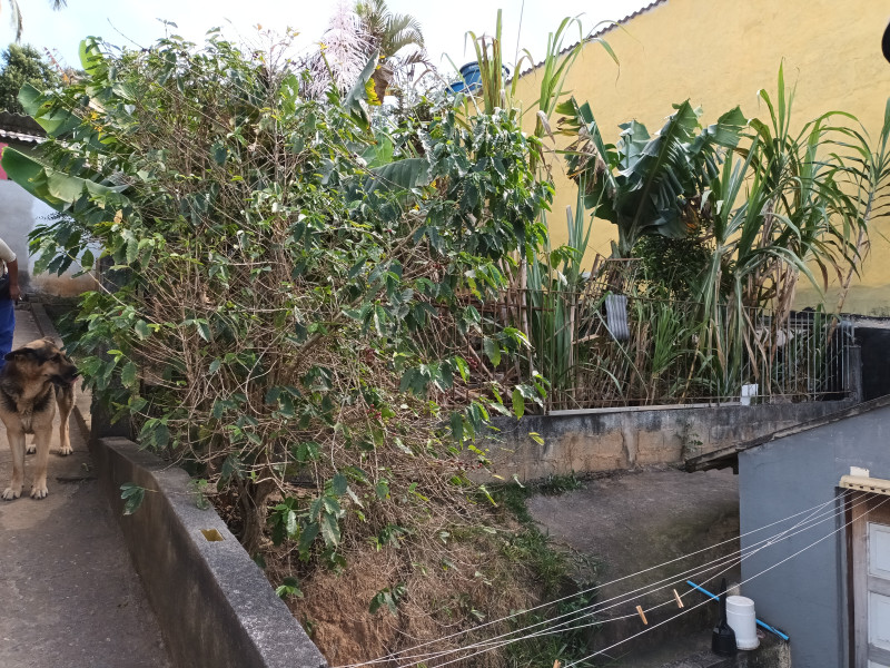 Casa à venda Jardim Barbacena com 357m² e 2 quartos por R$ 600.000 - 69002490-20230819-143136.jpg