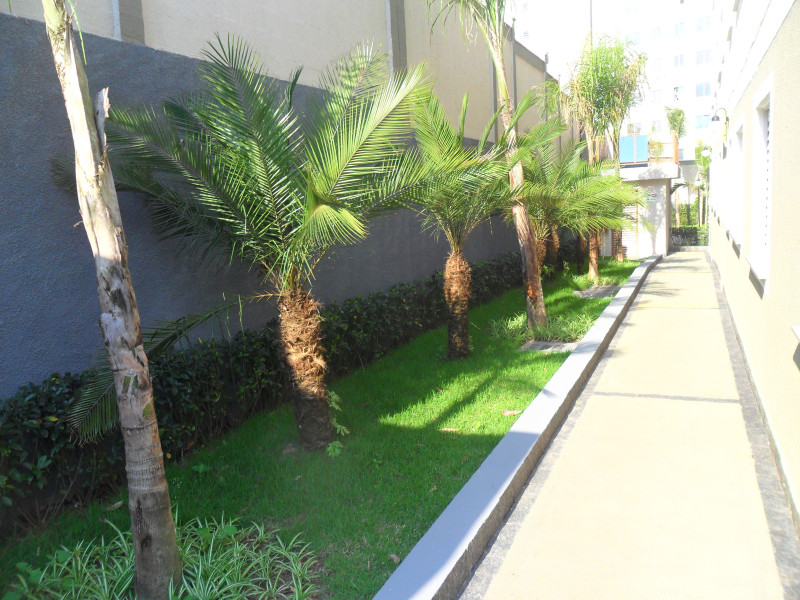 Apartamento à venda Parque São Vicente com 47m² e 2 quartos por R$ 215.000 - 2032256985-foto-14.JPG