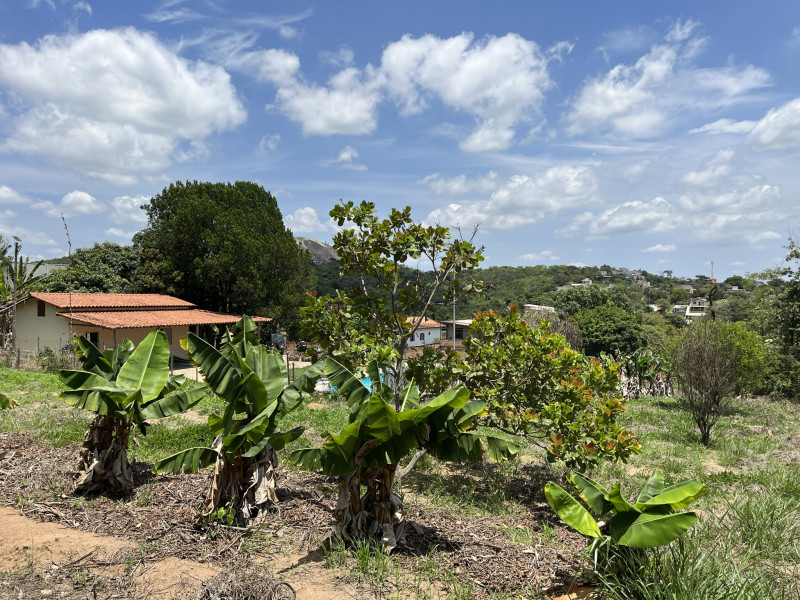 Chácara à venda Estâncias Imperiais com 5000m² e 1 quarto por R$ 1.000.000 - 1782818747-img-0261.JPEG