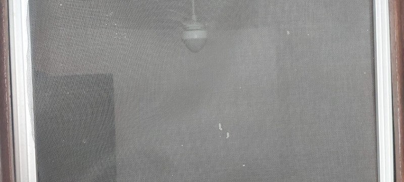 Casa para alugar Santa Terezinha com 120m² e 2 quartos por R$ 2.100 - 1452535502-img-20231031-wa0035.jpg