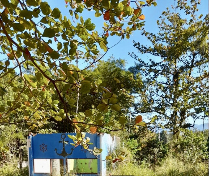 Terreno à venda Santa Dalila (Suruí) com 6000m² e 1 quarto por R$ 60.000 - 1694680757-116ee98c-106b-4cc5-b4ff-a99b7b4c2e95.jpeg