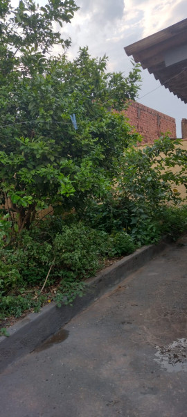Casa à venda Solo Sagrado I com 80m² e 2 quartos por R$ 175.000 - 1504055752-whatsapp-image-2023-10-26-at-17.jpeg
