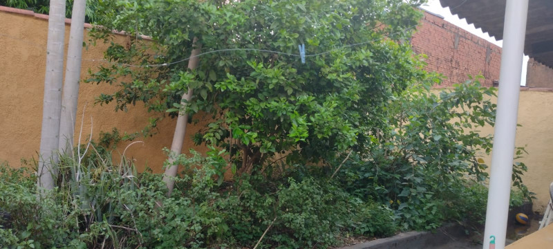 Casa à venda Solo Sagrado I com 80m² e 2 quartos por R$ 175.000 - 348701642-whatsapp-image-2023-10-26-at-17.jpeg