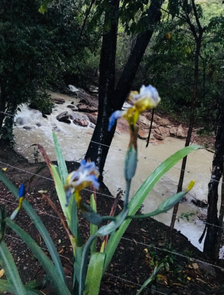 Sítio à venda Jardim Irene com 90000m² e 3 quartos por R$ 900.000 - 1057314648-2018-03-08-07.jpeg