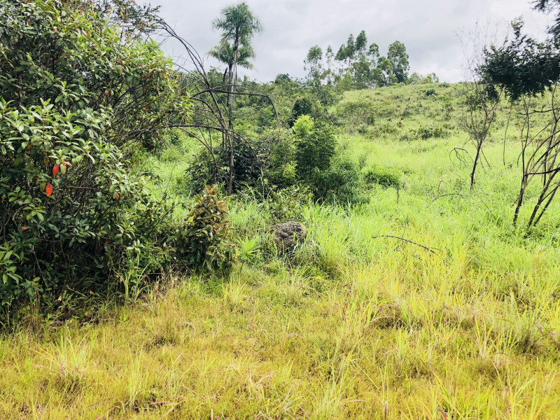 Sítio à venda Jardim Irene com 90000m² e 3 quartos por R$ 900.000 - 2101541214-2018-03-08-13.jpeg