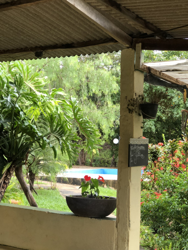 Sítio à venda Jardim Irene com 90000m² e 3 quartos por R$ 900.000 - 596594433-2018-03-08-08.jpeg