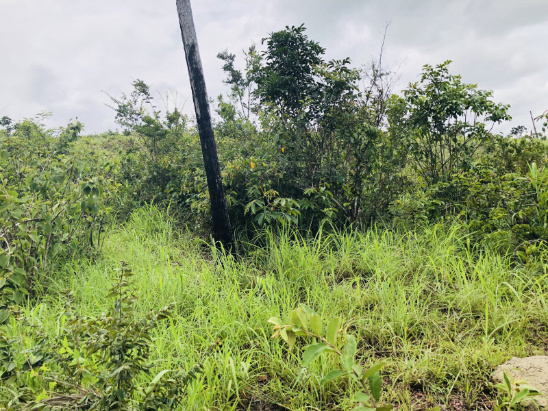 Sítio à venda Jardim Irene com 90000m² e 3 quartos por R$ 900.000 - 95849120-2018-03-08-13.jpeg