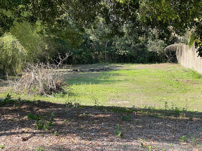 Terreno à venda Toca do Bugio com 250m² e 1 quarto por R$ 25.000.000 - 1366958632-img-4268-original.jpeg