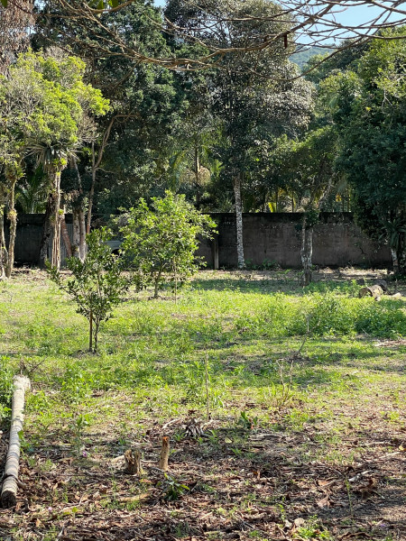 Terreno à venda Toca do Bugio com 250m² e 1 quarto por R$ 25.000.000 - 1693719689-img-4271-original.jpeg