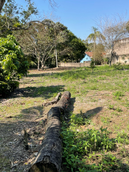 Terreno à venda Toca do Bugio com 250m² e 1 quarto por R$ 25.000.000 - 2095816461-img-4266-original.jpeg
