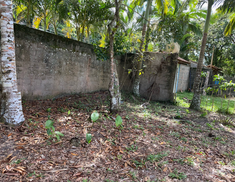 Terreno à venda Toca do Bugio com 250m² e 1 quarto por R$ 25.000.000 - 62108956-img-0374-original.jpeg
