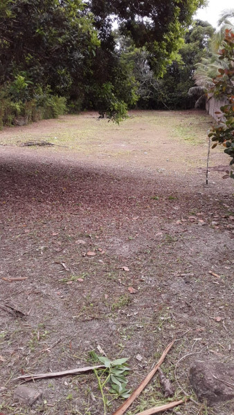 Terreno à venda Toca do Bugio com 250m² e 1 quarto por R$ 25.000.000 - 721051096-27b6ffd2-4e31-40da-af4d-668284ff09bb-original.jpeg