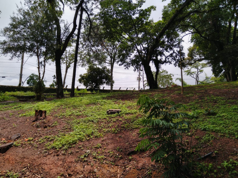 Terreno à venda Chacara Santa Lucia com 5146m² e 1 quarto por R$ 1.200.000 - 1412457415-foto-4.jpeg