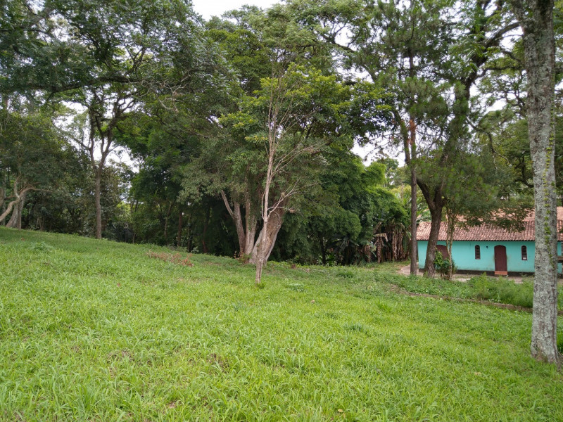 Terreno à venda Chacara Santa Lucia com 5146m² e 1 quarto por R$ 1.200.000 - 205117568-foto.jpeg