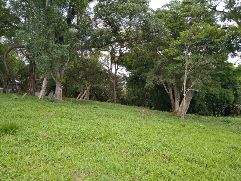 Terreno à venda Chacara Santa Lucia com 5146m² e 1 quarto por R$ 1.200.000 - 430343969-foto-2.jpeg