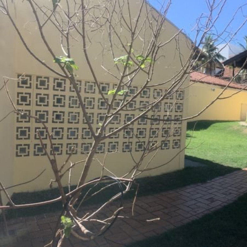 Casa à venda Centro com 150m² e 4 quartos por R$ 780.000 - 1809665797-img-9163.jpeg