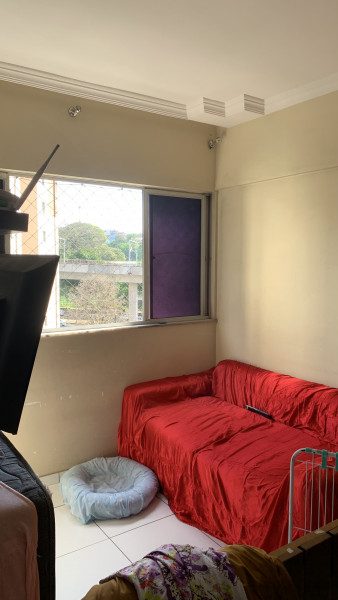 Apartamento à venda Brotas com 52m² e 3 quartos por R$ 220.000 - 659550169-img-0059.jpg