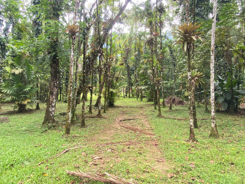 Chácara à venda Corcovado  com 4376m² e 6 quartos por R$ 1.300.000 - 1783128038-img-20230207-wa0014.jpg