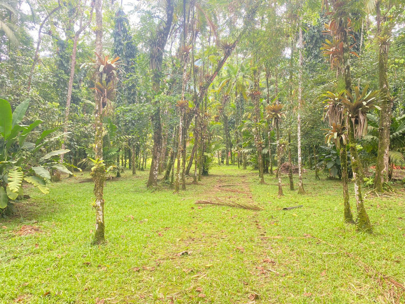 Chácara à venda Corcovado  com 4376m² e 6 quartos por R$ 1.300.000 - 943412923-img-20230207-wa0009.jpg
