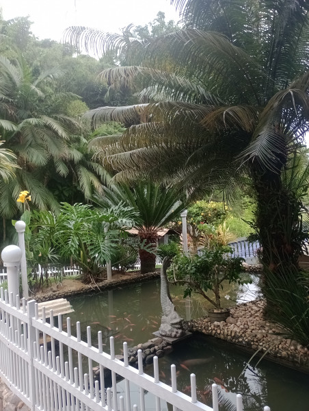 Chácara à venda Progresso com 315m² e 5 quartos por R$ 660.000 - 1300243169-img-20221122-171906542.jpg