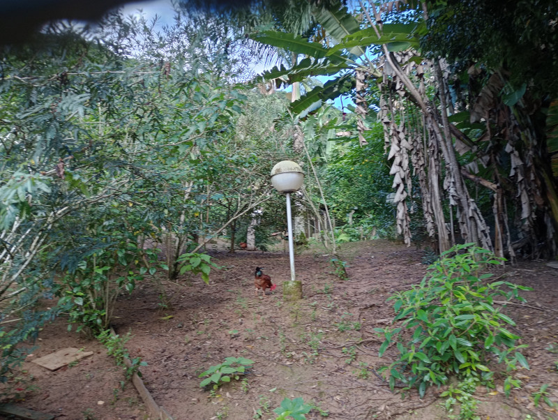 Chácara à venda Progresso com 315m² e 5 quartos por R$ 660.000 - 720028698-img-20230423-091615825-hdr.jpg