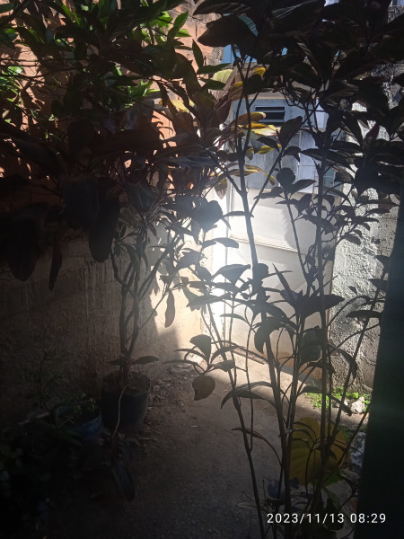 Casa à venda Santíssimo com 50m² e 2 quartos por R$ 80.000 - 186904667-16998749414281419797622221957829.jpg
