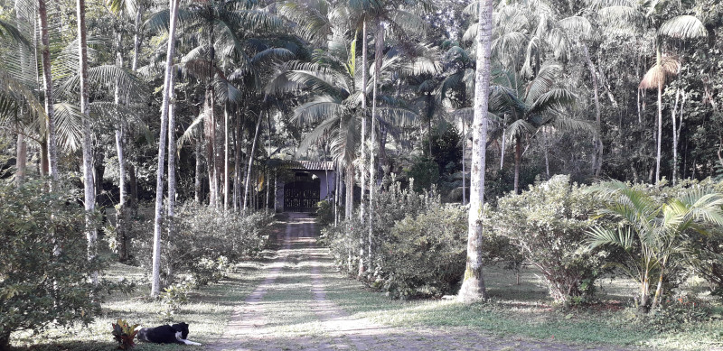 imóvel com 2500m² - Bairro do Borges - Juquitiba