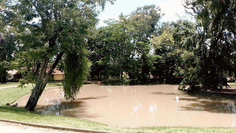 Casa de condomínio à venda Jardim Paraíso com 343m² e 4 quartos por R$ 530.000 - 1785280693-img-20230722-wa0025.jpg