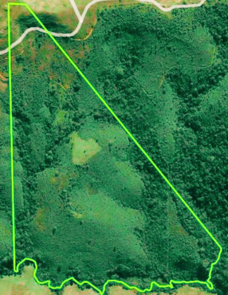 Sítio à venda Centro com 450000m² e 3 quartos por R$ 1.750.000 - 1390871672-01.jpg