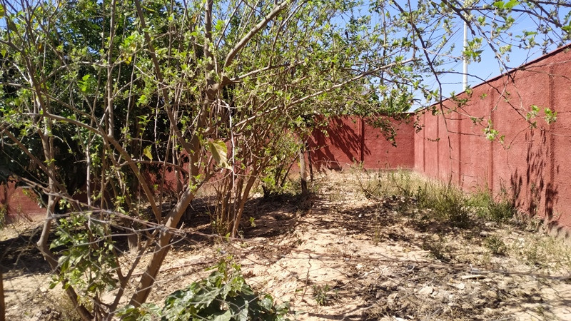 imóvel com 479m² - Centro - Taquaracu de Minas
