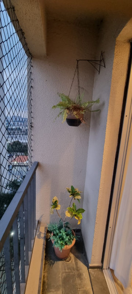 Apartamento à venda Vila Leopoldina com 50m² e 2 quartos por R$ 540.000 - 1685178621-whatsapp-image-2023-02-14-at-16.jpeg