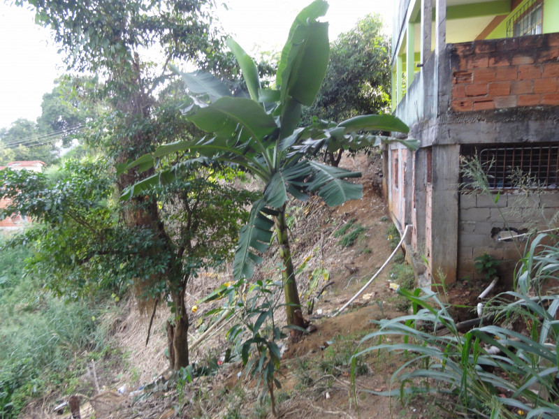 Terreno à venda Campo Grande com 225m² e 1 quarto por R$ 95.000 - 1709767929-dsc04178.JPG