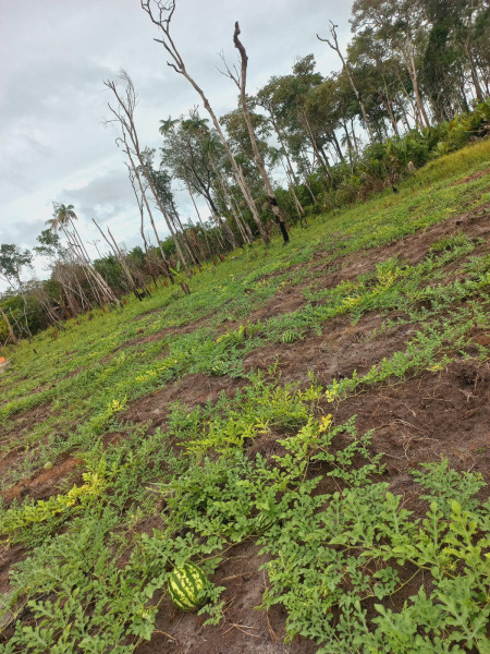 imóvel com 60m² - Centro - Caracarai