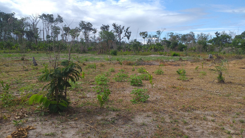 imóvel com 60m² - Centro - Caracarai