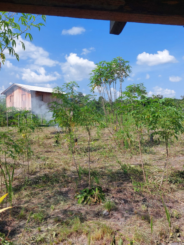 imóvel com 60m² - Centro - Caracarai