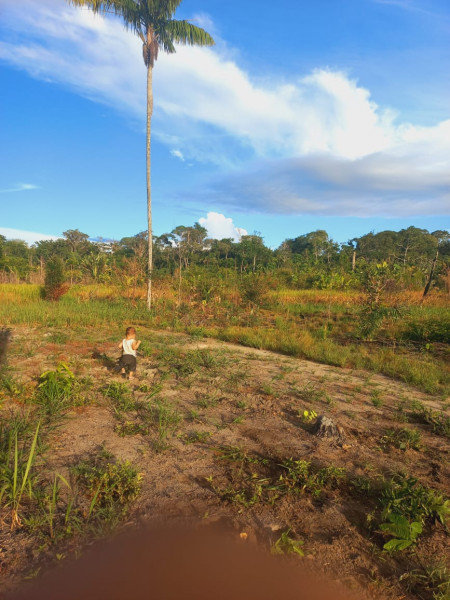 imóvel com 60m² - Centro - Caracarai