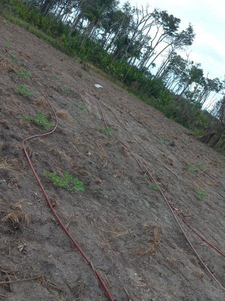 imóvel com 60m² - Centro - Caracarai