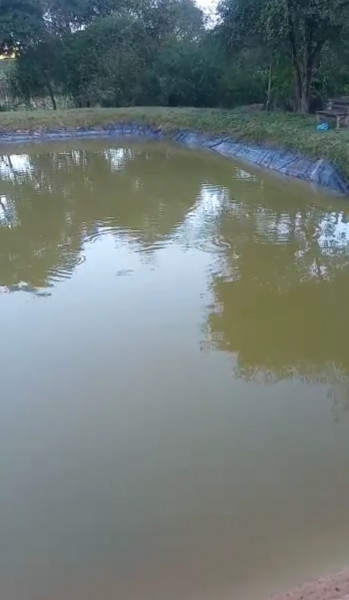 Sítio à venda Alto do Jacú (Sambaetiba) com 38000m² e 5 quartos por R$ 980.000 - 158913556-lago-peixes.jpg