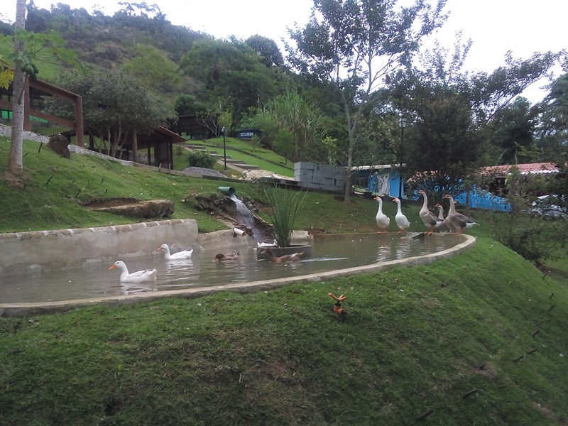 imóvel com 69000m² - Santa Rita do Bracuí - Angra dos Reis
